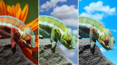 Illustration inflected - Image 1