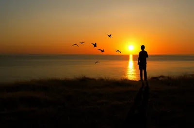 Illustration westward - Image 1