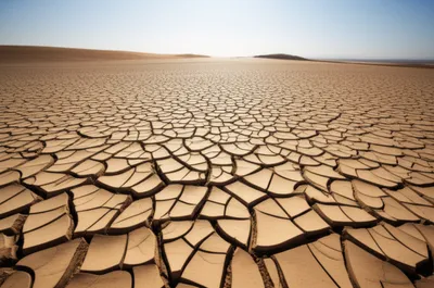 Illustration hairlines - Image 1