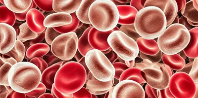 Illustration leukemias - Image 1