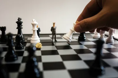 Illustration reshuffling - Image 1