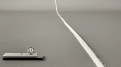 Illustration denier - Image 1