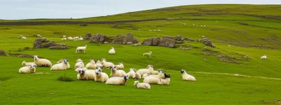 Illustration hefted - Image 1