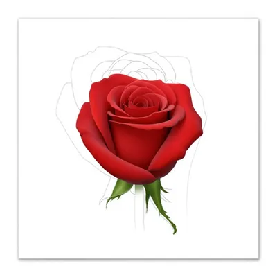 Illustration generates - Image 1