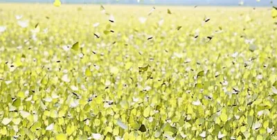 Illustration migrant - Image 1