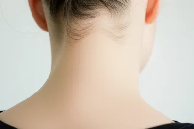 Illustration nape - Image 1