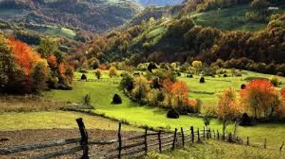 Illustration countryside - Image 2