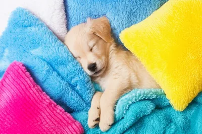 Illustration piled - Image 1