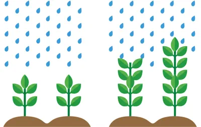 Illustration correlations - Image 1