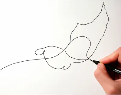 Illustration freehand - Image 1