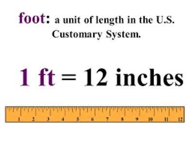 Illustration foot - Image 2