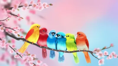 Illustration cos - Image 1