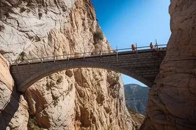 Illustration establishes