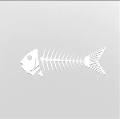 Illustration bones - Image 1