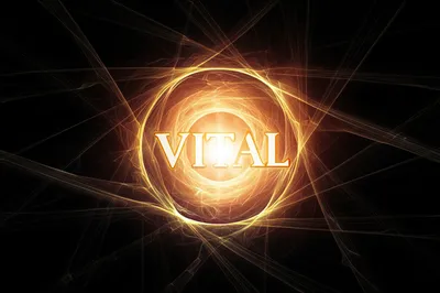 Illustration vital - Image 1