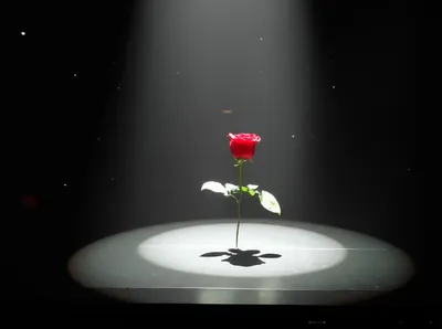 Illustration noticeable - Image 1