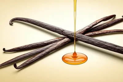 Illustration vanilla - Image 1