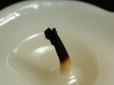 Illustration snuff - Image 1