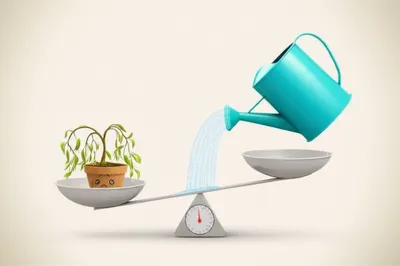 Illustration dispensing - Image 1