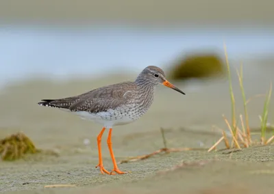 Illustration shake - Image 1