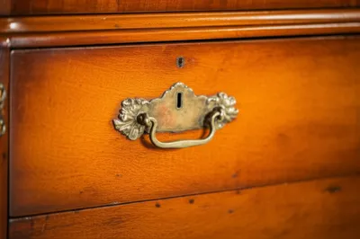 Illustration lacquer - Image 1