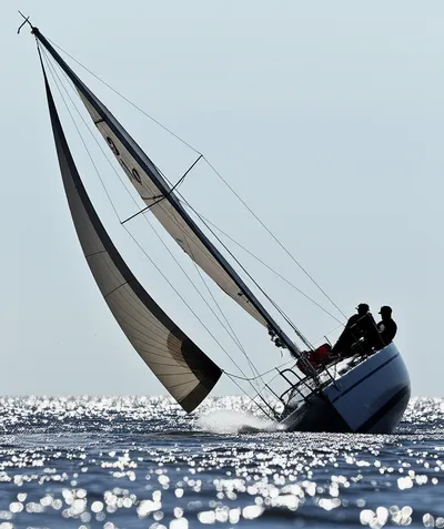 Illustration luffs - Image 1