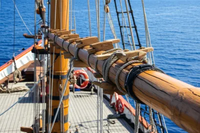 Illustration fish - Image 1