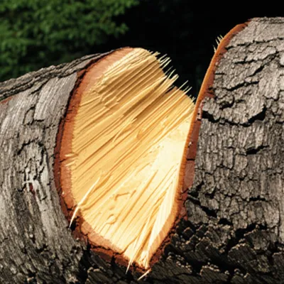 Illustration gashed - Image 1