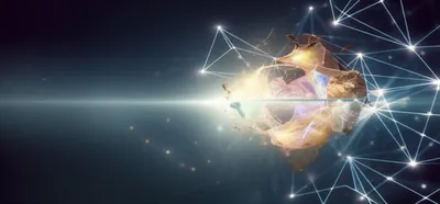 Illustration selections - Image 1