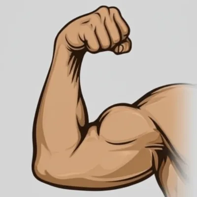 Illustration fortis - Image 1