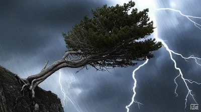 Hình ảnh minh họa abiding - Ảnh 1