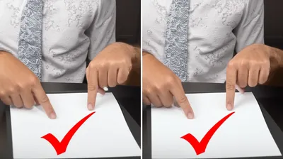 Illustration ditto - Image 1