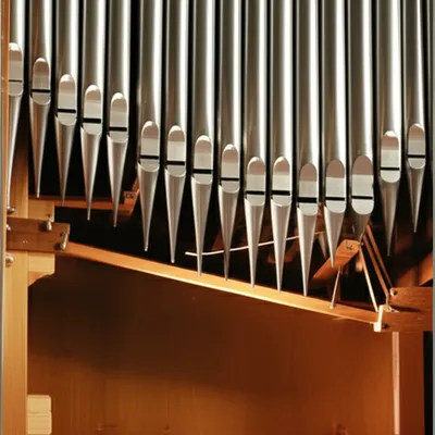 Illustration tracker - Image 1