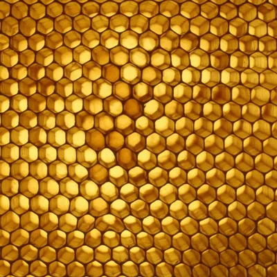 Illustration honeycomb - Image 1