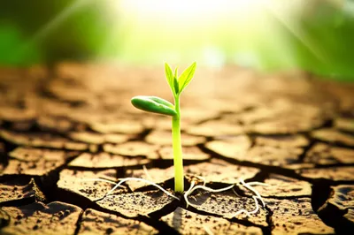 Illustration rising - Image 1