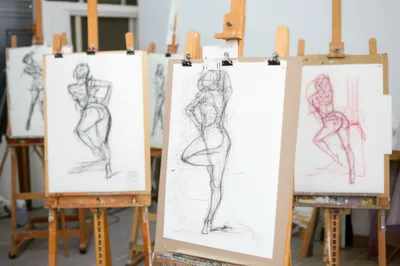 Illustration croquis - Image 1