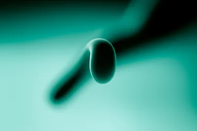 Illustration meta - Image 1