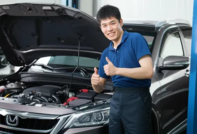 Illustration warrants of fitness - Image 1