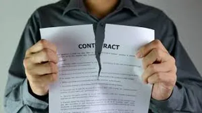 Illustration infringement - Image 2