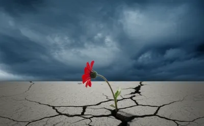 单词"despite"的视觉插图 - 鄙视，蔑视，憎恨
