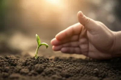 Illustration prodded - Image 1