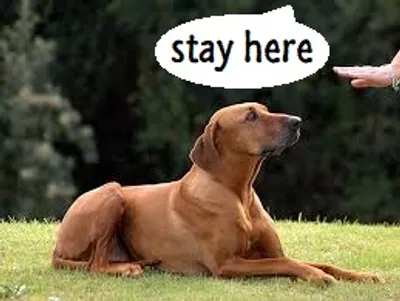 Illustration stay - Image 3