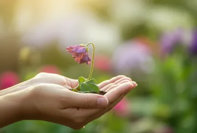 Illustration relieves - Image 1