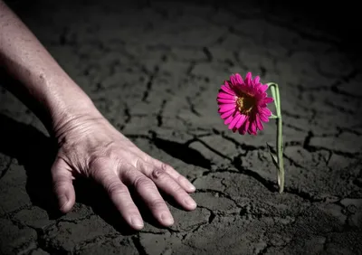 Illustration anathema - Image 1