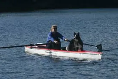 Illustration shell - Image 4