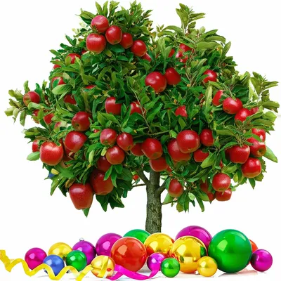 Illustration extrinsic - Image 1