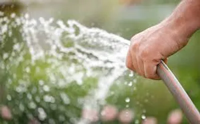 Illustration hose - Image 2