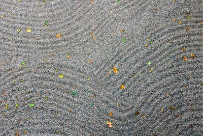 Illustration raked - Image 2