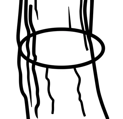 Illustration ring - Image 1