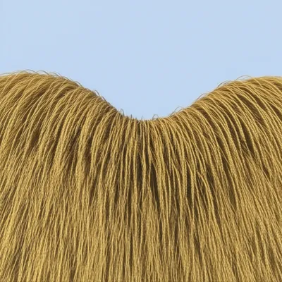 Illustration waved - Image 1